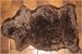 Bowron Single PELT RUG 24"x36" (DARK BROWN)