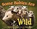 Some Babies Are Wild