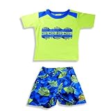 Plaid Fish - Toddler Boys 2 Piece Swim Set, Lime, Royal