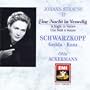 Johann Strauss II: A Night in Venice