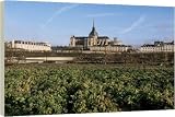 Potager du Roi (Kings kitchen garden), Versailles and St - 20 Inch Canvas Print (51cm) by Robert Harding