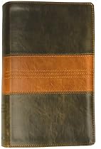 ESV Personal Size Reference Bible (TruTone, Forest/Tan, Trail Design)