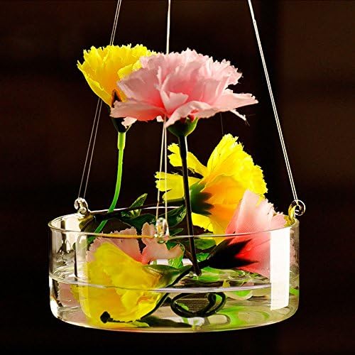 2 X Hanging Vase Flower Planter Terrarium Container Hydroponic Vase Holder Fast Delivery
