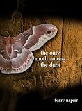 The Only Moth Among the Dark