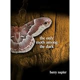The Only Moth Among the Dark ~ Barry Napier