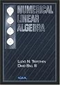 Numerical Linear Algebra