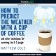 How to Predict the Weather with a Cup of Coffee and Other Techniques for Surviving the 9-5 Jungle