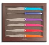 Coutellerie TARRERIAS BONJEAN Set of 6 Laguiole "Intuition" Table Knives Mixed Colours in a Gift Box