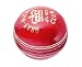 GRAY-NICOLLS Club Leder Cricketball