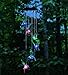 CADIAA Hummingbird & Cattleya Orchid Night Lamp by Ibis & Orchid Design