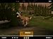 Deer Drive [Download] image 1