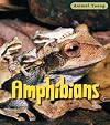 Amphibians (Animal Babies)