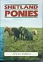 Shetland Ponies