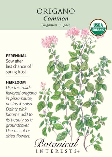 Common Oregano Seeds - 100 mg - Organic