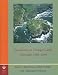Excavations at Tintagel Castle, Cornwall, 1990-1999 (Society of Antiquaries of London) (Society of Antiquaries of London)