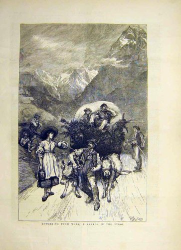 Return Work Fields Tyrol Cart Wagon Bull Hay 1871