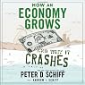 How An Economy Grows And Why It Crashes