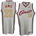 Cavs Jerseys : adidas Cavs #23 LeBron James Ash Glacier Swingman Basketball Jersey