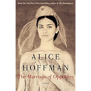 The Marriage of Opposites by Alice Hoffman