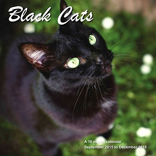 Black Cats Calendar - 2016 Wall calendars - Cat Calendar - Kitten Calendar - Monthly Wall Calendar by Magnum