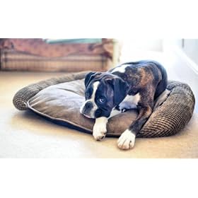 Luxury Fleece Dog Bed Size Large
