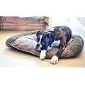 Luxury Fleece Dog Bed Size Large