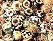 Murano Style Glass Lampwork 925 Bead Fit Pandora Mix, 14mm (10)