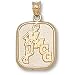 Medical College Of Georgia Skeleton Pendant (14kt)
