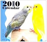 インコカレンダー 2010