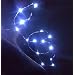 Battery Operated 20 LED String Lights on Silver Wire 7ft Long. For Use in Floral Arrangements Party, Wedding Decorating and More