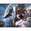 2 Deck Set - Soaring Eagles Bridge Playing Cards plus 4 Tallies