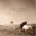 Image of Little Grey Sheep