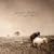 Little Grey Sheep