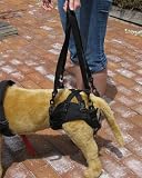 Walkin' Lift Dog Rear Harness- Xsmall
