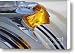 1953 Pontiac Mascot 4 Canvas Print / Canvas Art - Artist Susan Isakson