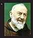 This Saint Will Change Your Life: 300 Heavenly Allies for Architects, Athletes, Bloggers, Brides, Librarians, Murderers, Whales, Widows, and You