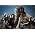 Vignette de Suicide Silence