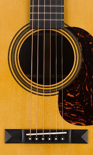 Image #4 of Martin D-21 Special