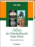 Buch