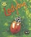 Search : Ladybug (Heinemann First Library)