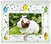 2016 Guinea Pig Calendar