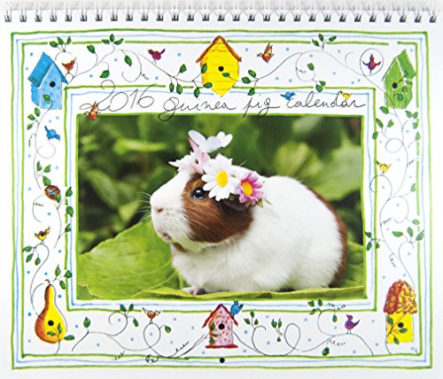2016 Guinea Pig Calendar