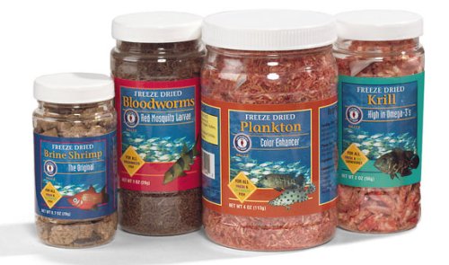 Freeze Dried Bloodworms, 1 oz