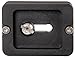 SET OF 2 Replacement Quick Release Plates for the MeFoto A1350Q1H / A0350Q0H Roadtrip/Backpacker Travel Tripod Kits (Hot Pink))