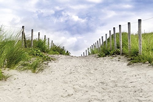 Bild eines Weges zwischen den Dünen auf Rügen