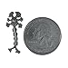 Jim Clift Design Neuron Lapel Pin - 1 Count