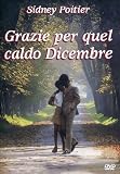 Grazie Per Quel Caldo Dicembre