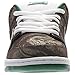 Nike Men's Dunk Low Premium SB Skate Shoe