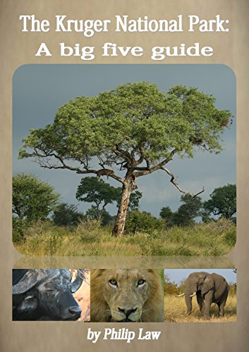 The Kruger National Park: a big five guide