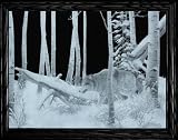 The Loner WOLF Wildlife ART ~ High-Definition Acid Etched Glass Decor Frame ~